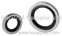 china SS bonded gaskets