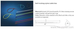 Self-locking nylon cable tie
