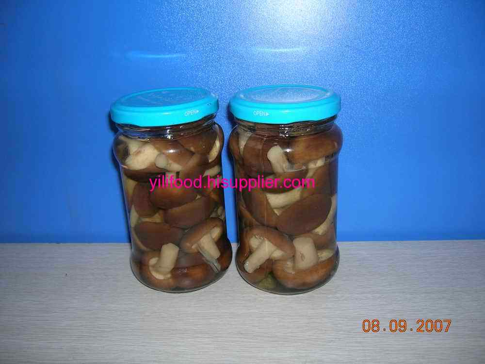 canned shiitake