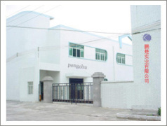 Shenzhen Pengchu Industrial Co.,Ltd.