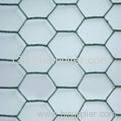 hexagonal wire mesh