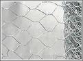 hexagonal wire mesh