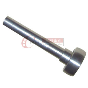 Stainless Steel Roller