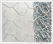 hexagonal wire mesh