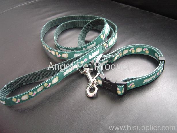 PP collar and leash