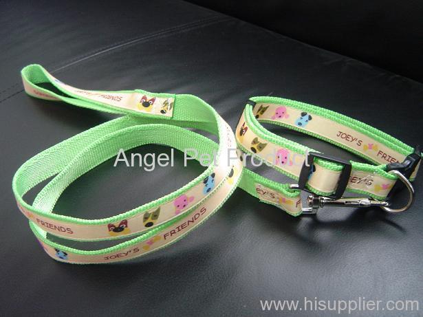 COLLAR AND LEASH