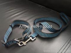 PP COLLAR AND LEASH