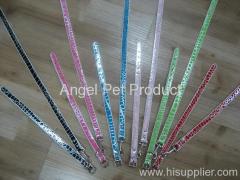 coach pets collars