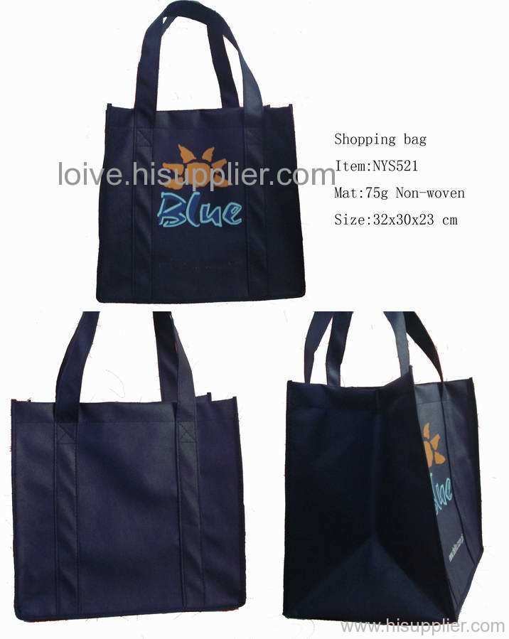 PP Non-woven Gift & Premium bag