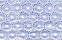 TC Embroidery Lace Fabric