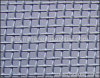 Galvanized Square Wire Mesh