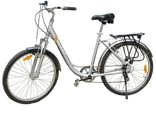 raleigh folding bike