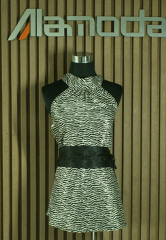 Poly Printing Dress