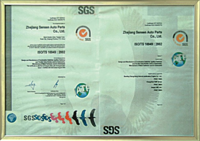 TS16949:2002 CERTIFICATION