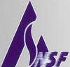 China NSF Bearing Co., Ltd.
