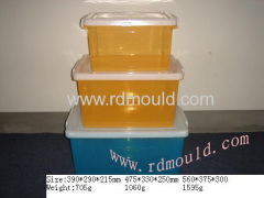 plastic injection mould