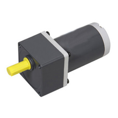 W3B30-24GN/3GN25K DC Gear Motor