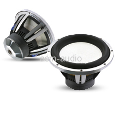 double voice coil woofer