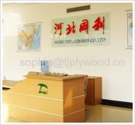 Tianjin Plywood Industry Co.,Ltd