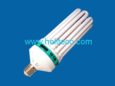 Compact Fluorescent Light Bulb