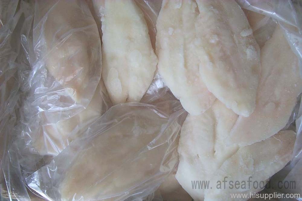 FROZEN JOHN DORY FILLET