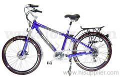 mountain electric bike