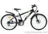 Mountain E-Bike