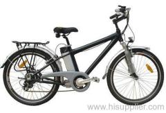 Mountain E-Bike