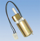 Auto Fuel Pump