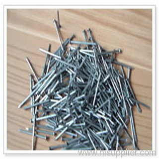 Roofing Nails