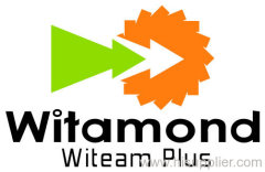 Witeam Commercial (Int'l) Limited