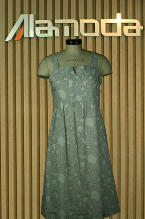 Ladies dress