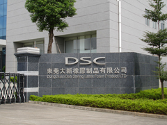 Dahsheng Chemial Group