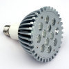 LED Bulb