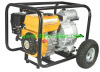 Portable Gasoline Water Pump