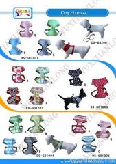 dog harness and leash