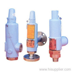LFNJ Series safety valve with jacket