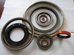 CAR OIL SEALS