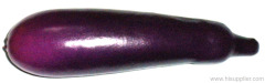 Aubergine