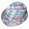 fedora hat