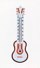 Plastic thermometer