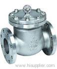 Swing Check Valve