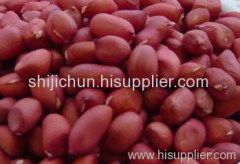 Linyi Shijichun Foodstuff Co.,Ltd.