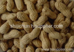 Linyi Shijichun Foodstuff Co.,Ltd.