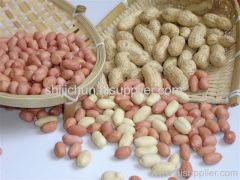 Linyi Shijichun Foodstuff Co.,Ltd.