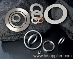 Metal Gaskets