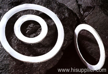 PTFE Jacketed Gasket