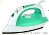 Green steam iron