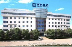 Yangyang International Electrical Co.,Ltd