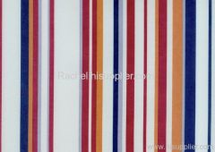 PVC Coated Fabric (Printed)